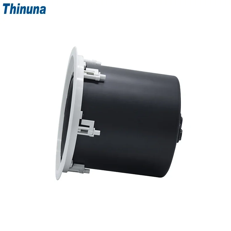Audio Music In Background - 2025 Thinuna MS-10SUB-L II Home Living