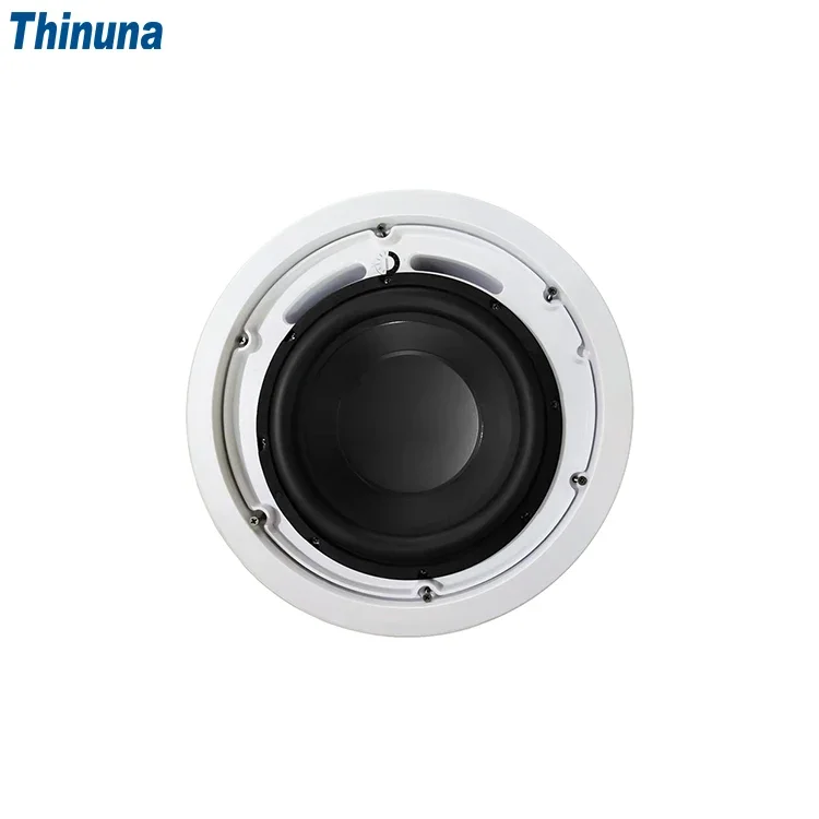 2025 Thinuna MS-10SUB-L II Hom - огляд і ціна Audio Music In Background