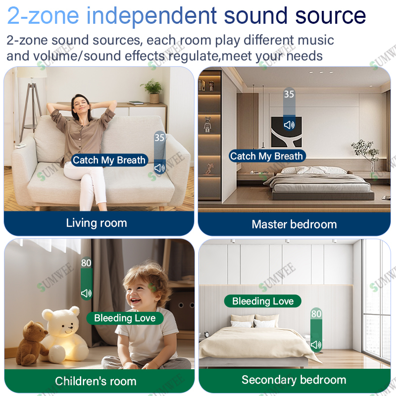 2zone audio in wall amplifier  - огляд і ціна Audio Music In Background