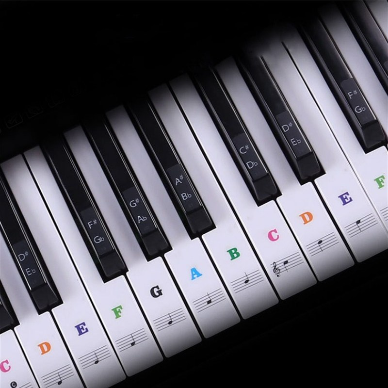 Transparent Piano Keyboard Sti - огляд і ціна Audio Music Notes