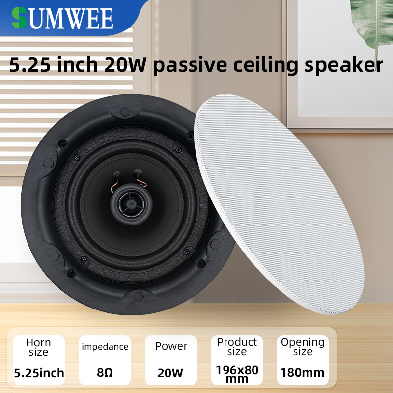 5.25 inch 8 ohm ceiling speake - огляд і ціна Audio Music In Background