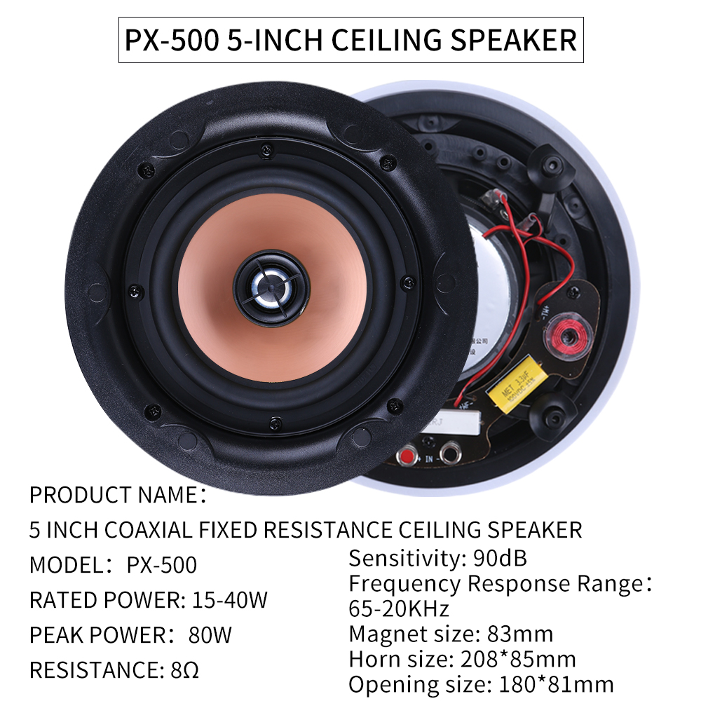 5.1 Home Theater Ceiling Speak - огляд і ціна Audio Music In Background