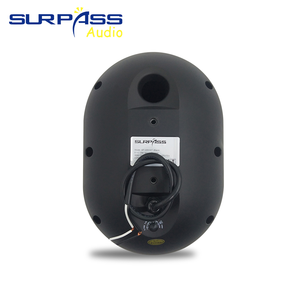 30W Wall-mounted Speaker Water - огляд і ціна Audio Music In Background