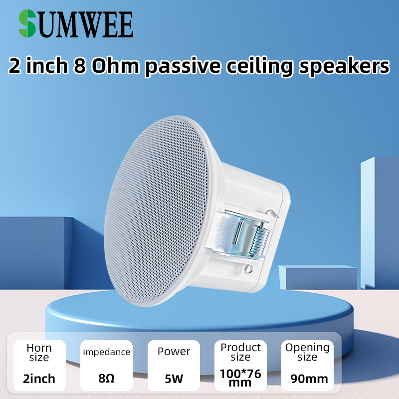 2Inch mini 8 ohm Ceiling Speak - огляд і ціна Audio Music In Background